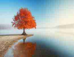 Online Betting Exchange ID India Login Your Gateway to Thrilling Betting Adventures