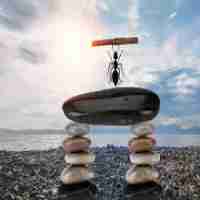 Mastering Casino War Betting Strategy Tips to Win Big