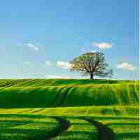 The Future of Fun Exploring the Latest Gambling Trends